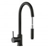 INVENA DUET Sink Mixer Pull Out Swivel Spout