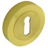 Augusta Brass Golden Escutcheon Internal