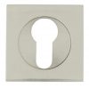 Nemo-Qr Nickel Escutcheon External